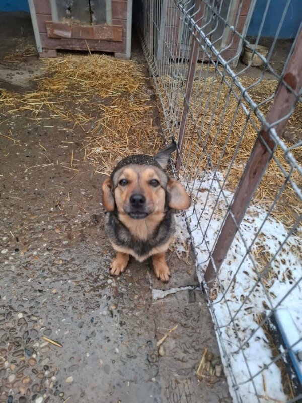 WhatsApp Image 2026 01 09 at 18.23.46