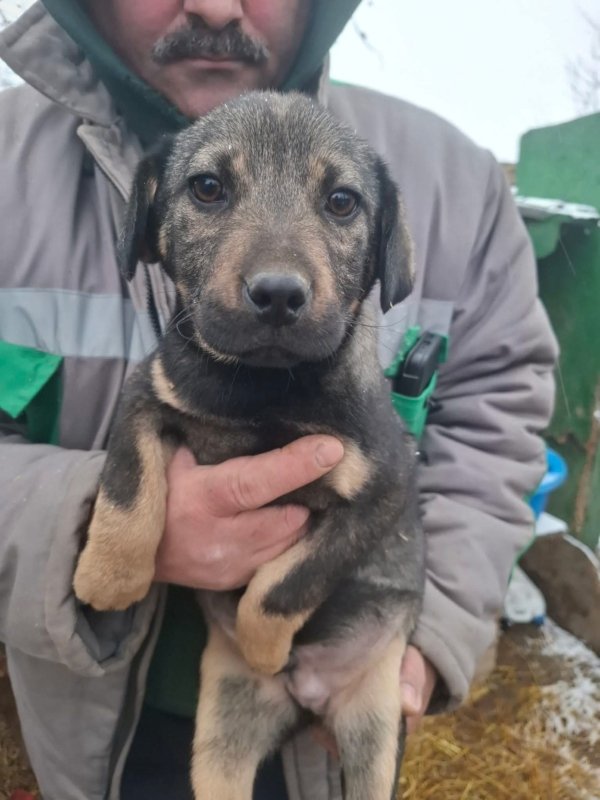 WhatsApp Image 2026 01 09 at 18.23.47 (1)