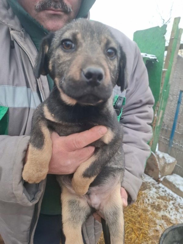 WhatsApp Image 2026 01 09 at 18.23.47 (2)