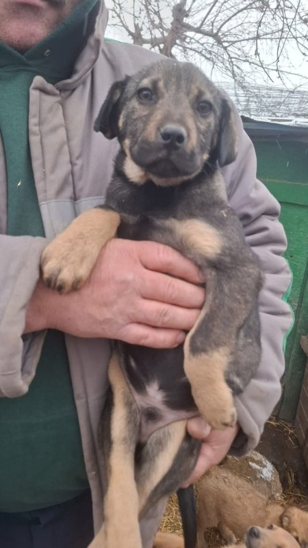 WhatsApp Image 2026 01 09 at 18.23.47 (3)