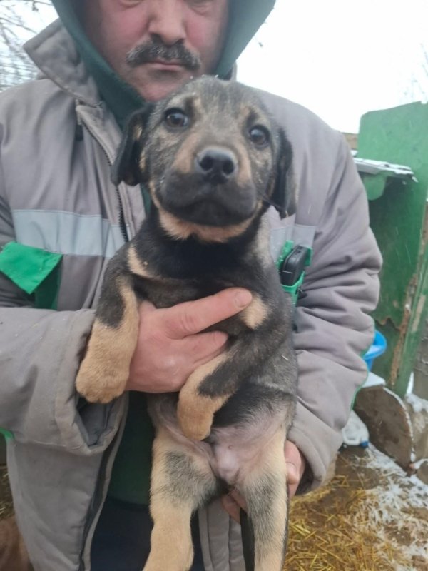 WhatsApp Image 2026 01 09 at 18.23.47 (4)