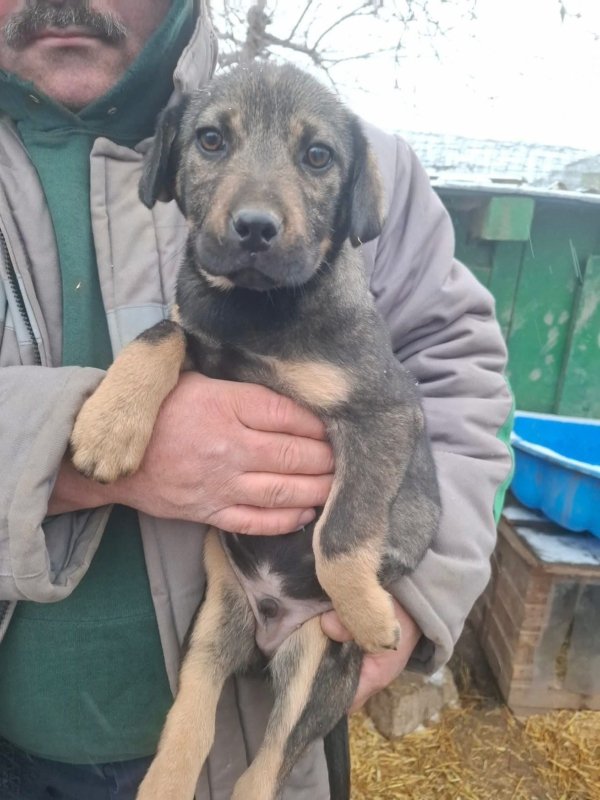 WhatsApp Image 2026 01 09 at 18.23.47 (5)