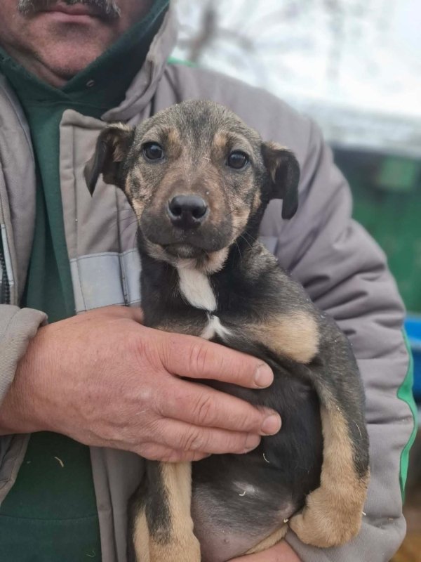 WhatsApp Image 2026 01 09 at 18.23.47