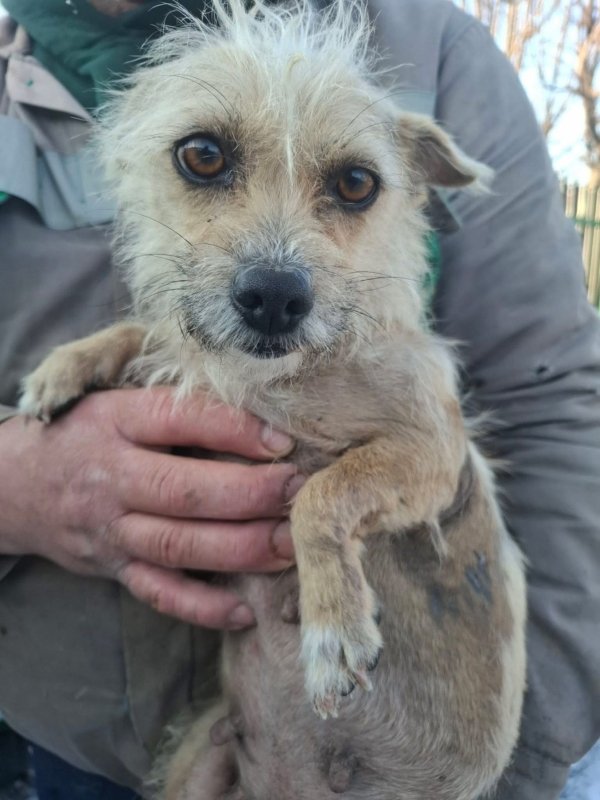 WhatsApp Image 2026 01 11 at 13.38.19 (1)