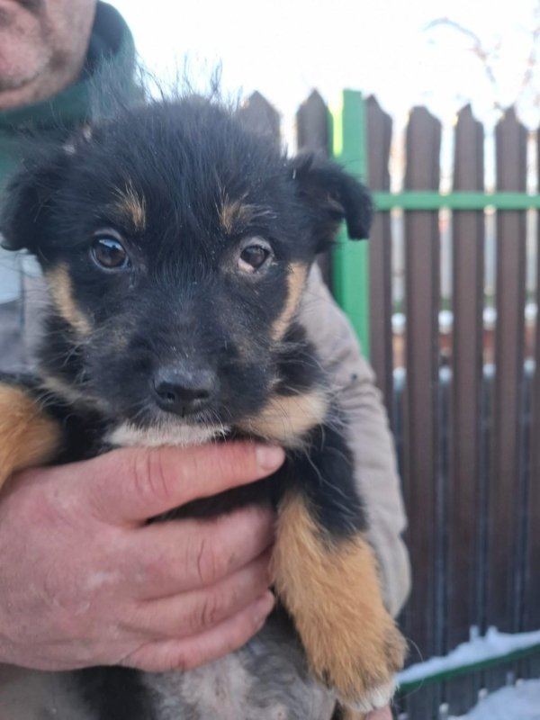 WhatsApp Image 2026 01 11 at 13.38.19 (1)