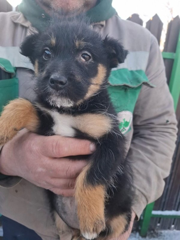 WhatsApp Image 2026 01 11 at 13.38.19 (2)