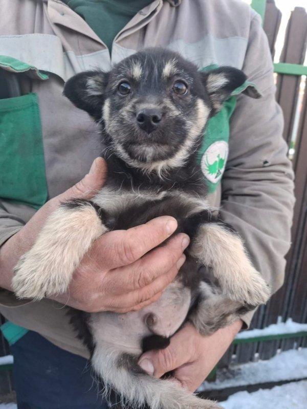 WhatsApp Image 2026 01 11 at 13.38.19