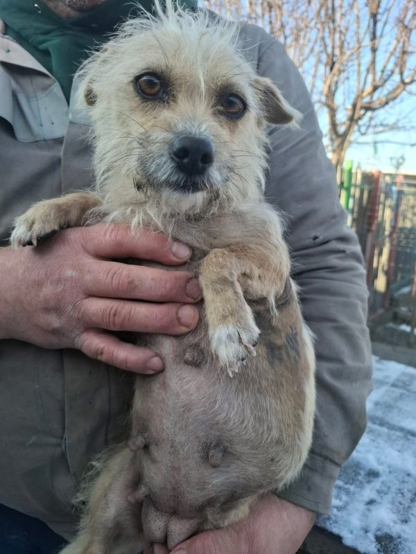 WhatsApp Image 2026 01 11 at 13.38.19