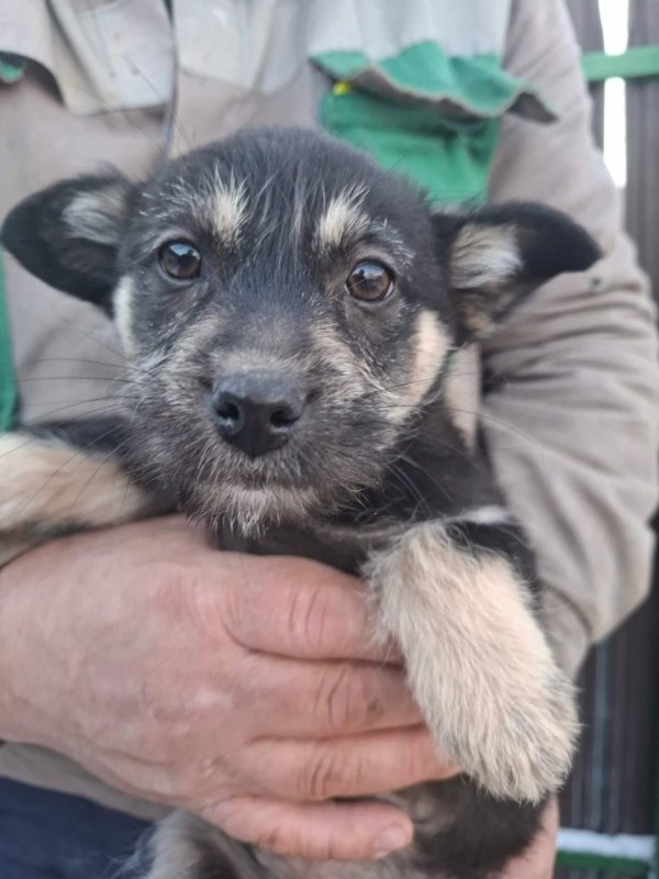 WhatsApp Image 2026 01 11 at 13.38.20 (1)