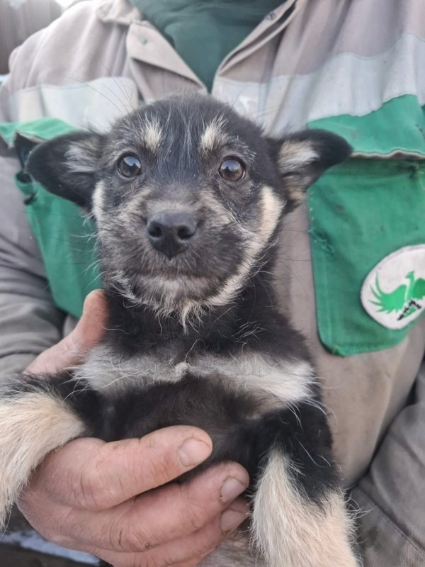 WhatsApp Image 2026 01 11 at 13.38.20 (2)