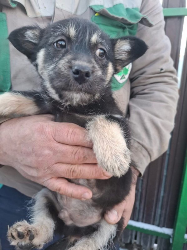 WhatsApp Image 2026 01 11 at 13.38.20