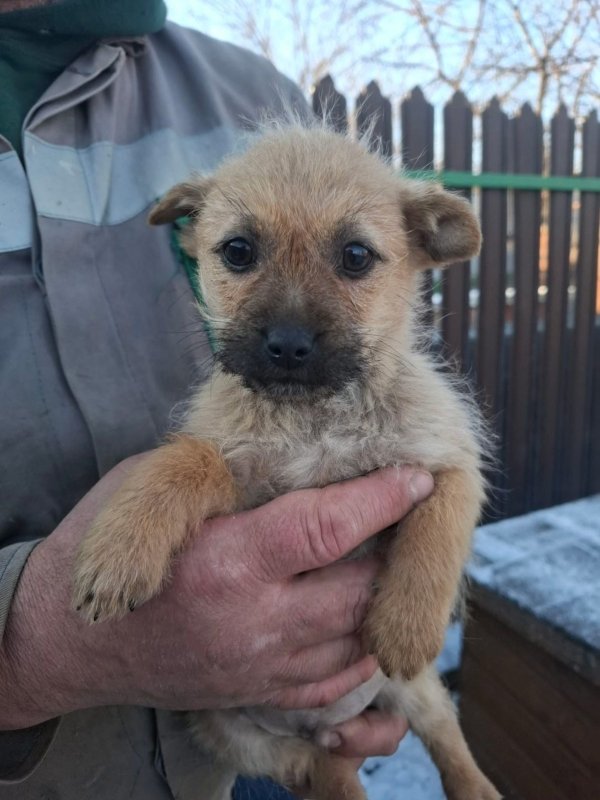 WhatsApp Image 2026 01 11 at 13.38.21 (1)