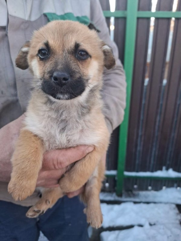 WhatsApp Image 2026 01 11 at 13.38.21 (1)