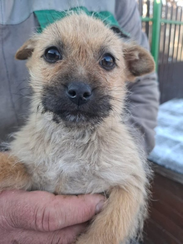 WhatsApp Image 2026 01 11 at 13.38.21 (2)