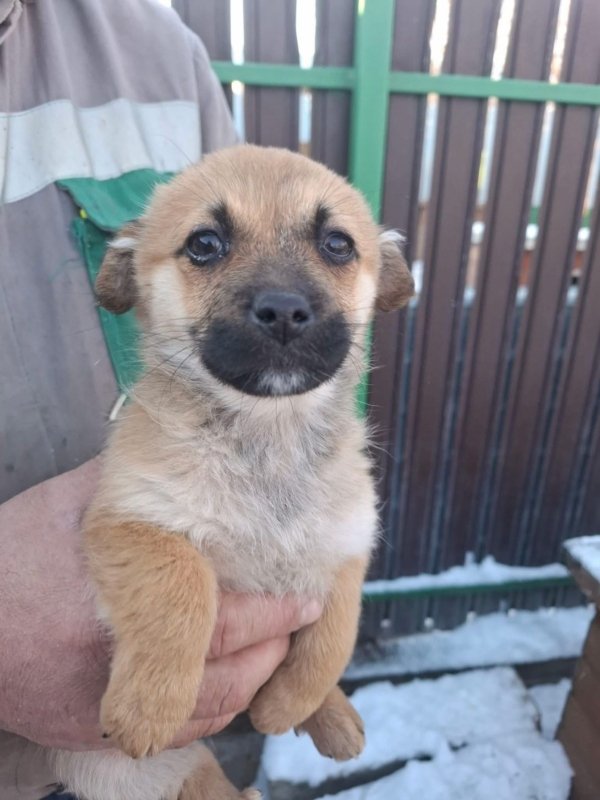 WhatsApp Image 2026 01 11 at 13.38.21 (2)