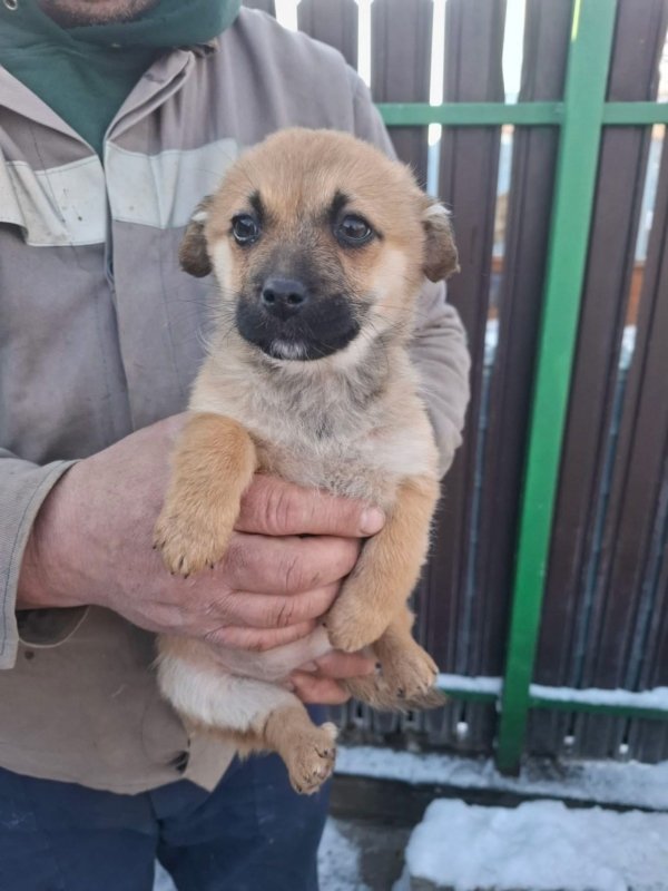 WhatsApp Image 2026 01 11 at 13.38.21 (3)