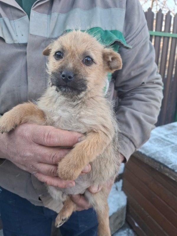 WhatsApp Image 2026 01 11 at 13.38.21 (4)