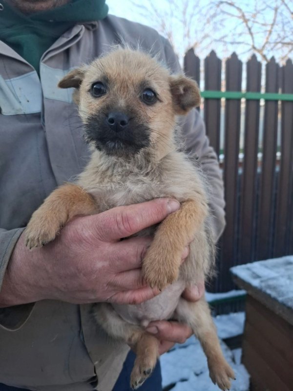 WhatsApp Image 2026 01 11 at 13.38.21