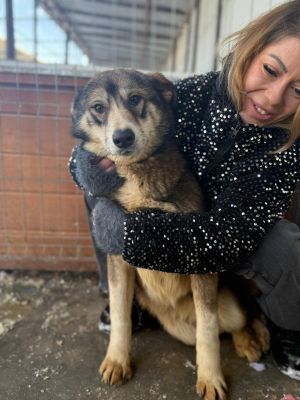 WhatsApp Image 2026 01 14 at 12.34.21