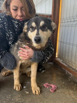 WhatsApp Image 2026 01 14 at 12.35.19,.