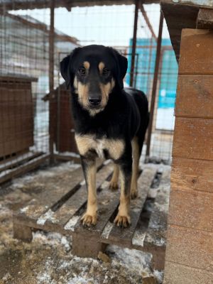 WhatsApp Image 2026 01 14 at 14.06.22,,,