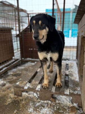 WhatsApp Image 2026 01 14 at 14.06.24