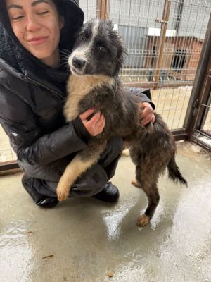 WhatsApp Image 2026 01 23 at 14.09.42 (1)