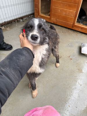 WhatsApp Image 2026 01 23 at 14.09.43 (3)