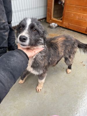 WhatsApp Image 2026 01 23 at 14.09.44 (1)