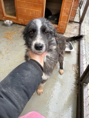 WhatsApp Image 2026 01 23 at 14.09.44