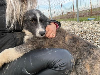 WhatsApp Image 2026 01 29 at 11.26.00