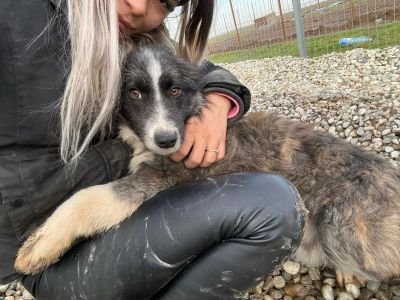 WhatsApp Image 2026 01 29 at 11.26.01 (1)