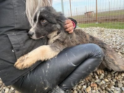 WhatsApp Image 2026 01 29 at 11.26.01 (2)