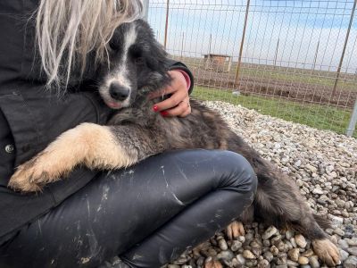 WhatsApp Image 2026 01 29 at 11.26.02