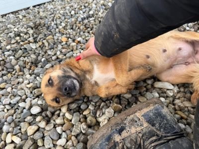 WhatsApp Image 2026 01 29 at 11.33.100