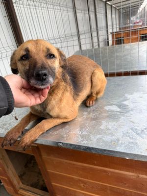 WhatsApp Image 2026 01 29 at 11.33.18