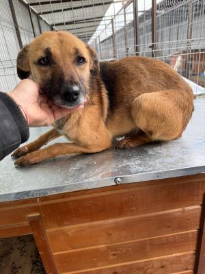 WhatsApp Image 2026 01 29 at 11.33.181