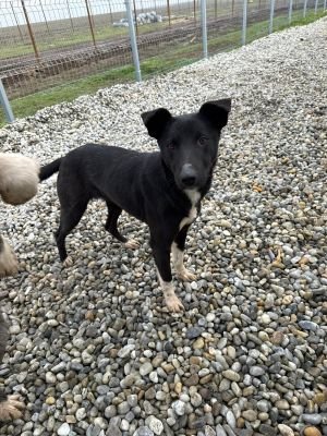 WhatsApp Image 2026 01 29 at 11.44.36.