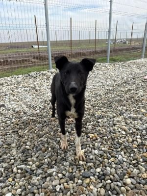 WhatsApp Image 2026 01 29 at 11.44.37,.