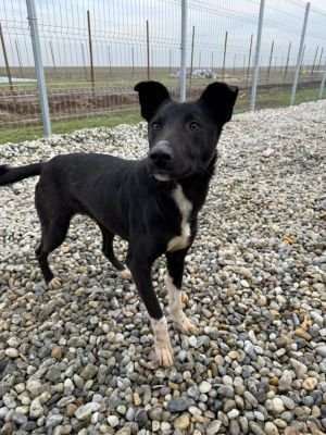 WhatsApp Image 2026 01 29 at 11.44.38