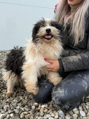 WhatsApp Image 2026 01 29 at 12.05.11