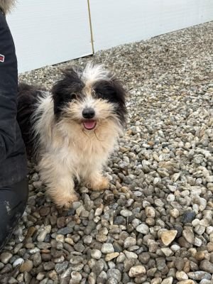 WhatsApp Image 2026 01 29 at 12.05.25