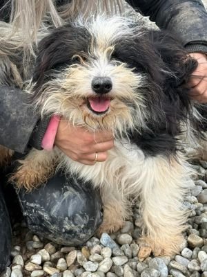 WhatsApp Image 2026 01 29 at 12.05.26.