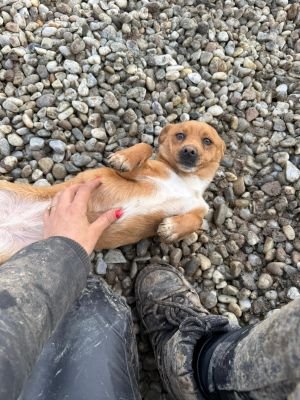 WhatsApp Image 2026 01 29 at 12.25.30