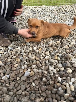 WhatsApp Image 2026 01 29 at 12.25.38.