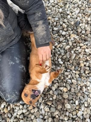 WhatsApp Image 2026 01 29 at 12.25.42a