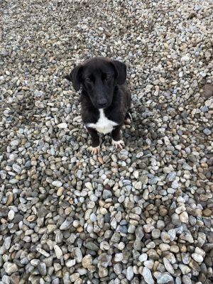 WhatsApp Image 2026 01 29 at 12.55.00