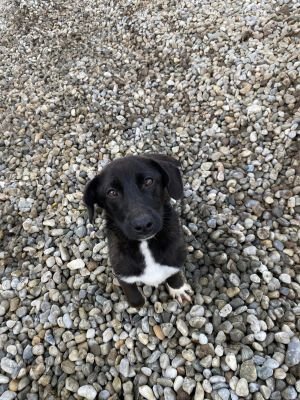 WhatsApp Image 2026 01 29 at 12.55.00a