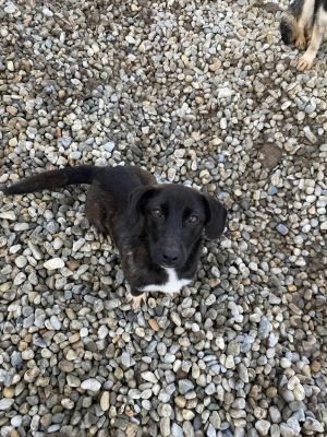 WhatsApp Image 2026 01 29 at 12.55.01,