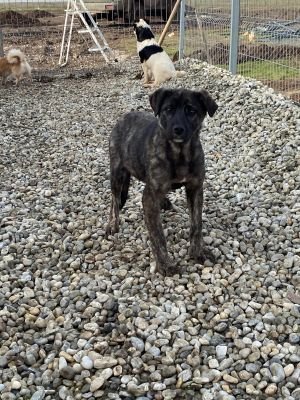 WhatsApp Image 2026 01 29 at 12.57.53a